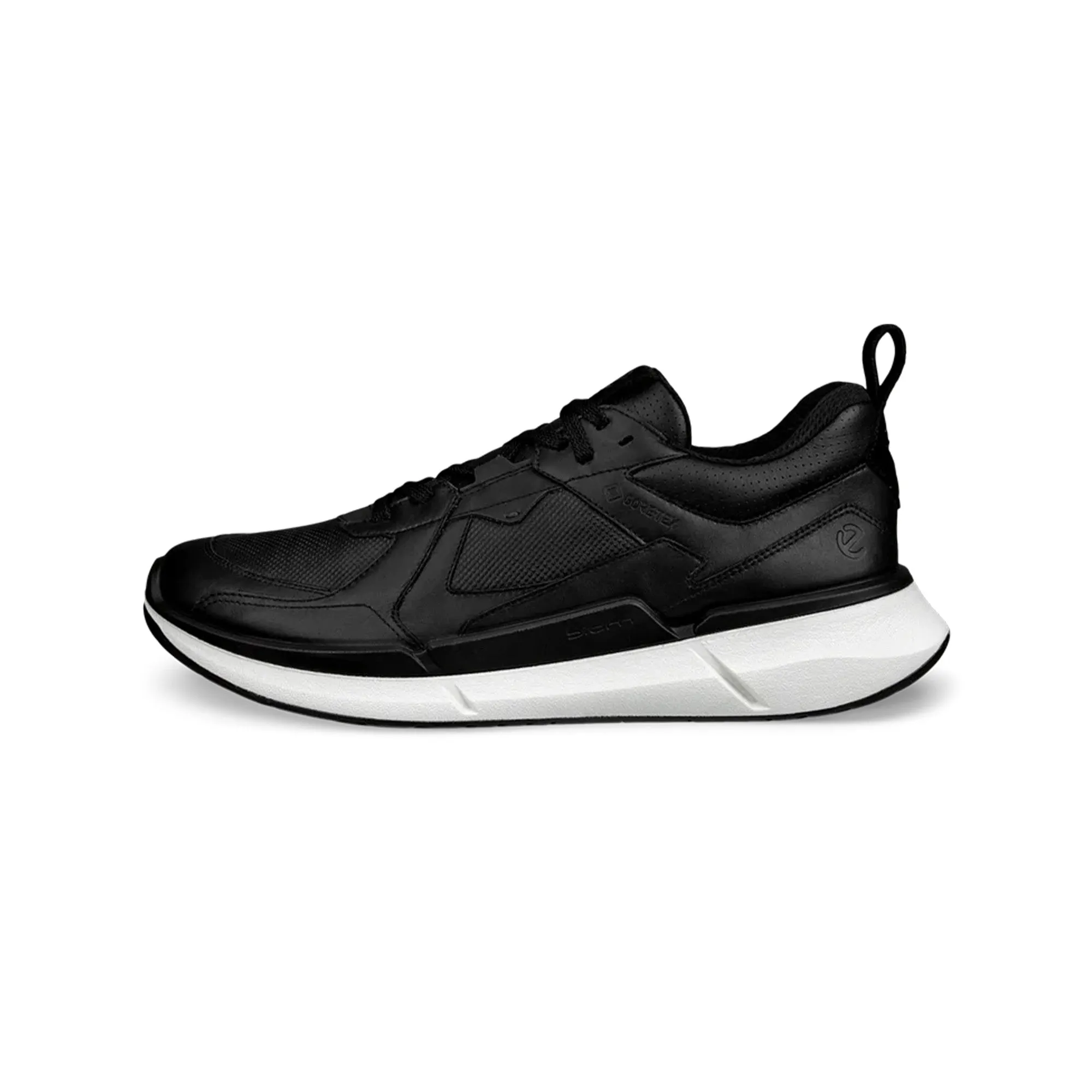 Biom 2.2 Leather GTX Trainer