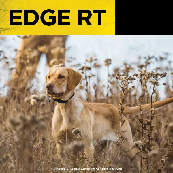 EDGE RT