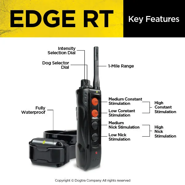EDGE RT