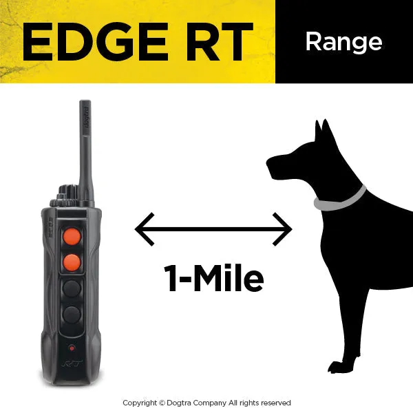 EDGE RT