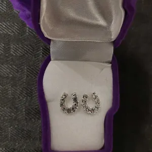 Rhinestone Horseshoe Earrings with Horse Head Box