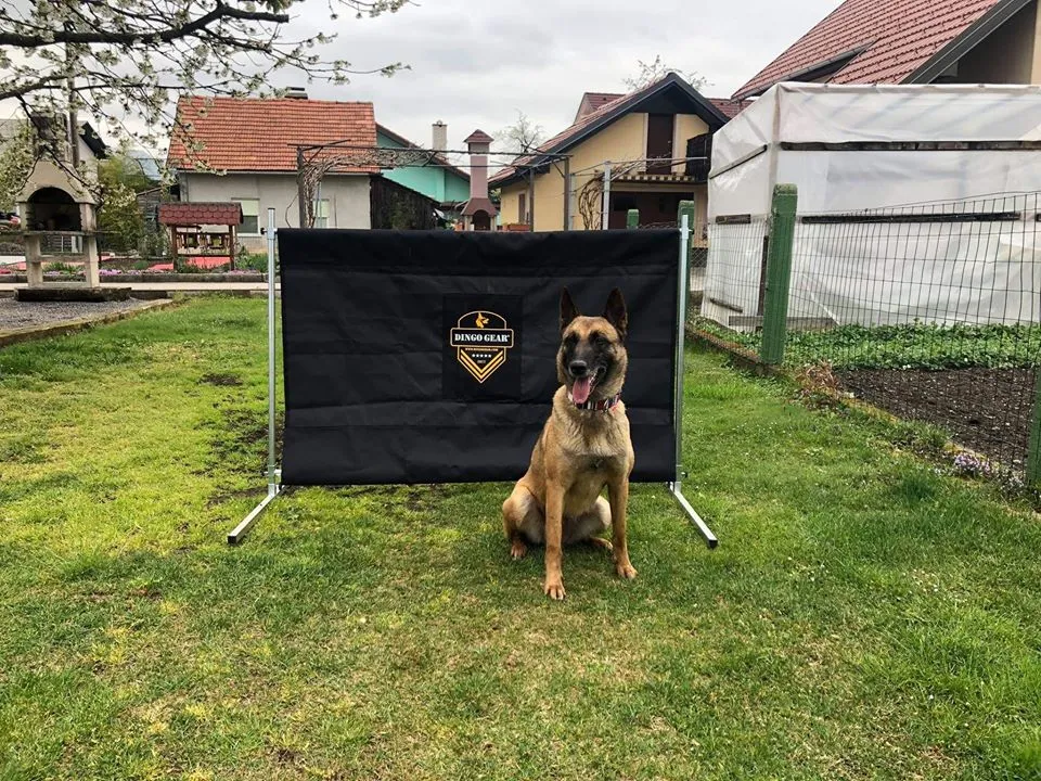 Schutzhund/IGP Regulation Adjustable Jump