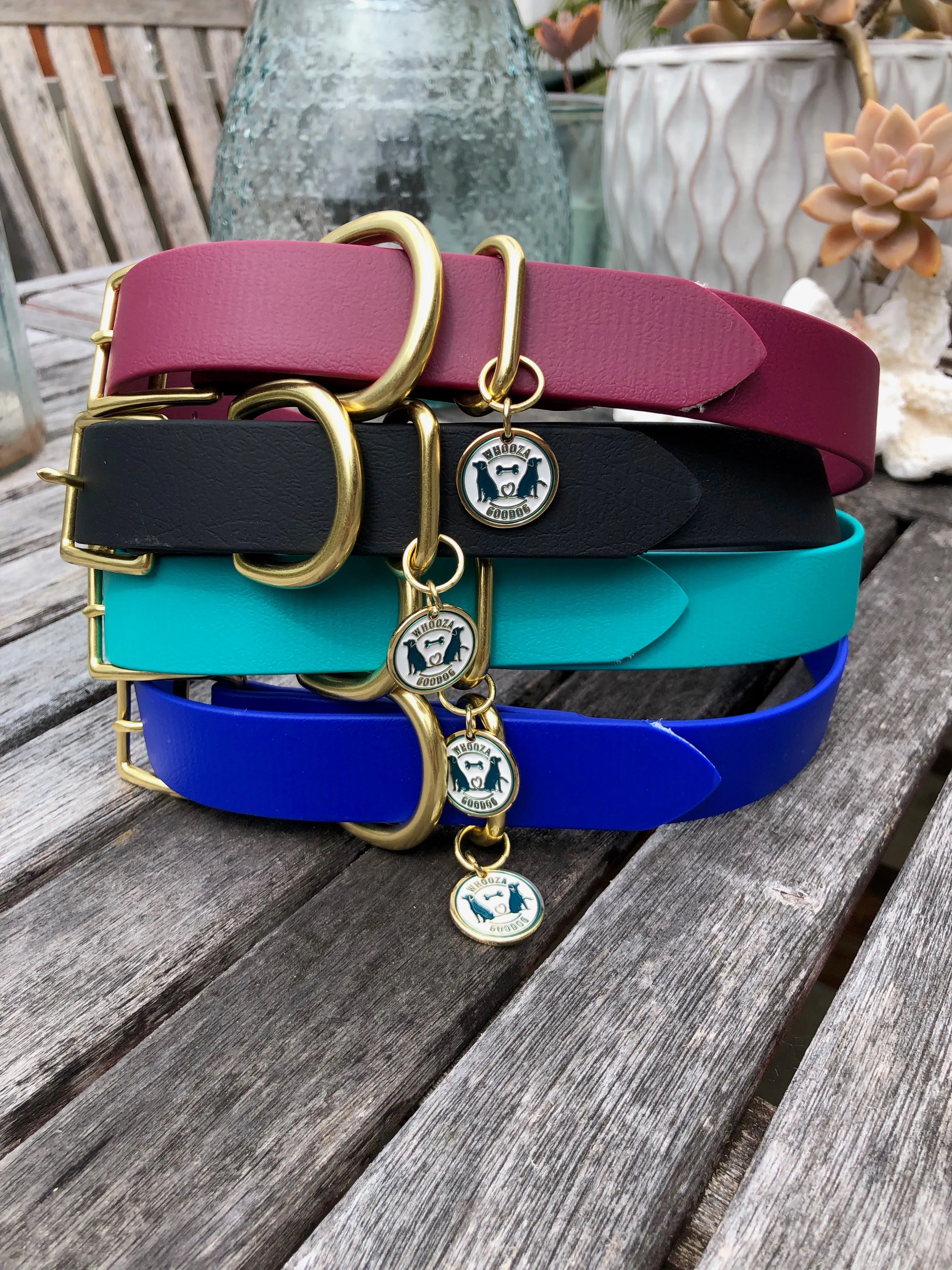 Waterproof Buckle Collar : Black   Brass