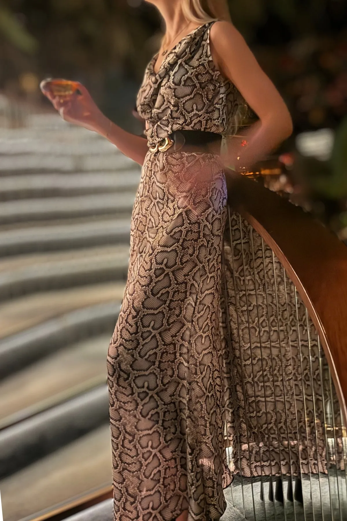 Wild Muse Phyton Dress